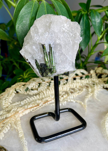 Natural Green TOURMALINE on Stand, Athletic Healing, Plant Healer, Good Fortune, Heart Chakra Healing, Harmony and Balance 267g