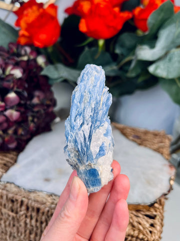 Grade AA Natural Blue Kyanite with Quartz, Crystal Healing, Energy Protection, Calming 133g