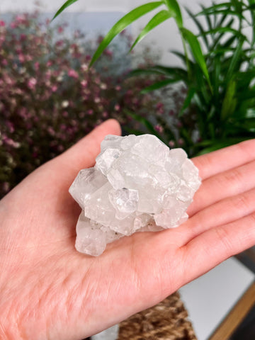 Grade AA Natural Apophyllite Specimen with from India, Crystal Healing Home Decor