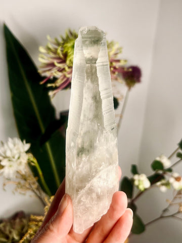 Grade AAA+ Natural Chlorite Lemurian Quartz 231g, Record Keepers,Self Healed, Starseed Quartz Wand, Super Extra Quality CS02