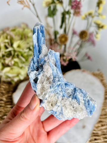 Grade AAA Natural Raw Blue Kyanite Crystal with Quartz Inclusion - A Portal to Higher Consciousness 177g - BK01