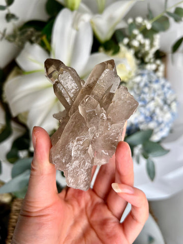 Natural Etched AAA Smoky Quartz Cluster with Bridge & Inner Child Points and Rainbows SC09 159g
