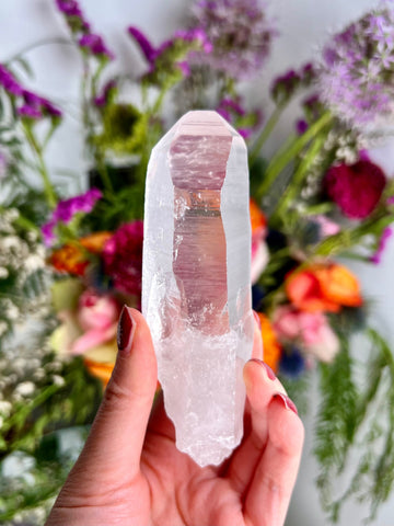 Exceptional Grade AAA+ Lemurian Quartz with Record Keepers, Crater Formation & Rainbow, 180g SLE02