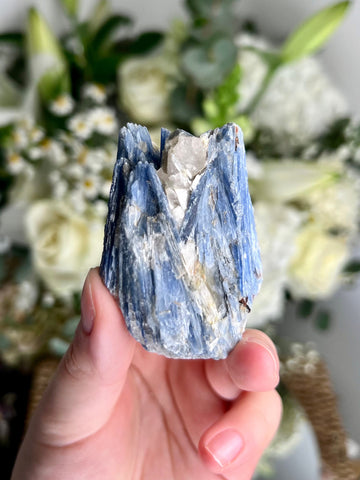 Grade AA Natural Blue Kyanite with Quartz, Crystal Healing, Energy Protection, Calming BK13, 74g