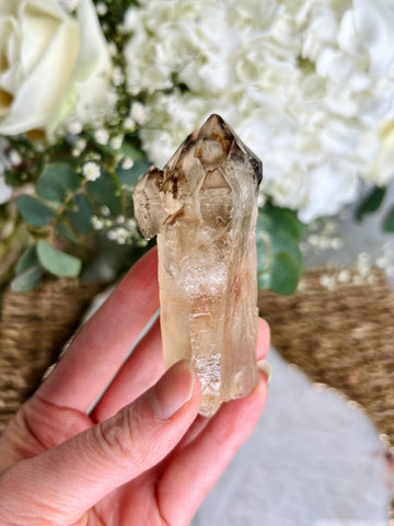 Grade AAA Natural Adaptogenic BG3 Citrine Scepter Specimen - with smoky phantom and iron inclusion from Piaui, Brazil ACC05, 89g