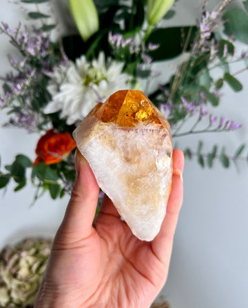 Extra Quality Heated Citrine Point with Rainbows - RC04 225g