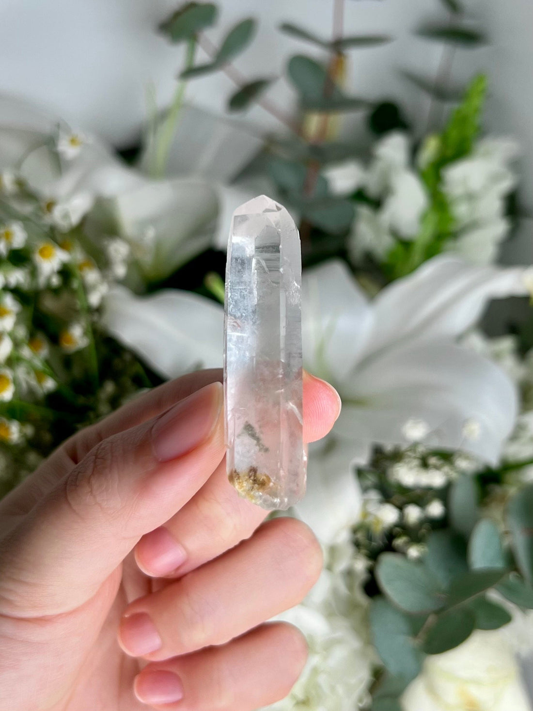 Grade AA Natural Clear Quartz Point with Chlorite - A Harmony of Healing and Protection CQC20, 15g