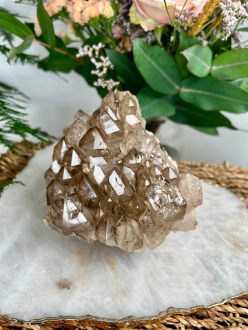 Grade AA 100% Natural Smoky Elestial Quartz with Golden Mica & Blue Tara - A Masterpiece of Earthly Wisdom and Cosmic Protection 989g, EQC02