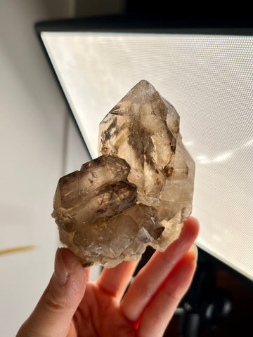 Grade AA 100% Natural Smoky Elestial Quartz on Natural Citrine with Golden Mica & Rainbows - A Symphony of Light and Prosperity 260g, EQC08