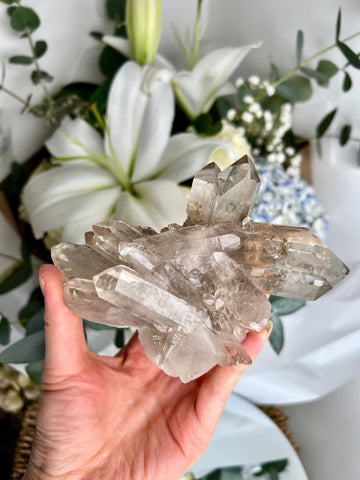 Exceptional AAA Smoky Quartz Cluster with Bridge & Inner Child Points and Rainbows SC10 399g