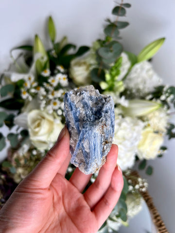 Grade AA Natural Blue Kyanite with Quartz, Crystal Healing, Energy Protection, Calming BK07 186g