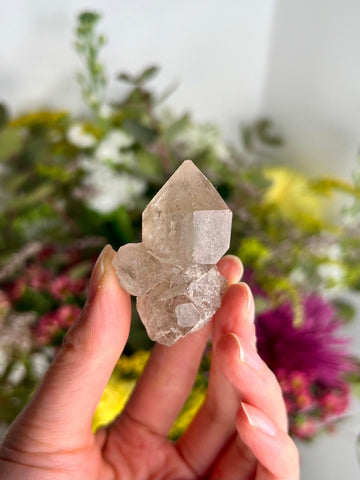Grade AA 100% Natural Smoky Elestial Quartz - A Portal to Mystical Realms and Vibrant Healing 30g, EQC33