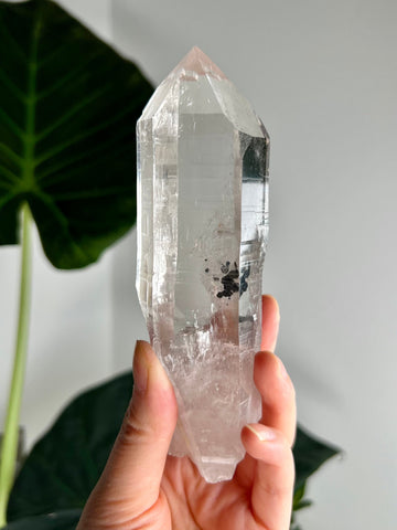 Grade AAA+ Natural Lemurian Cathedral Points with Black Hematite Inclusion - Collector Piece from Diamantina, Brazil LCC03, 275g