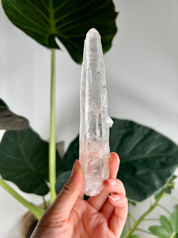 Grade AAA Singing Laser Quartz from Batatal, Diamantina - High Vibration Healing Crystal, SLH16, 127g