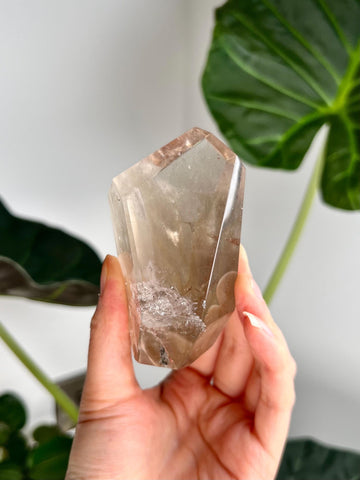 Grade AAA+ Natural Smoky Amphibole Quartz, Angel Phantom Quartz - from Taquaraçu de Minas, Brazil AFC31, 229g