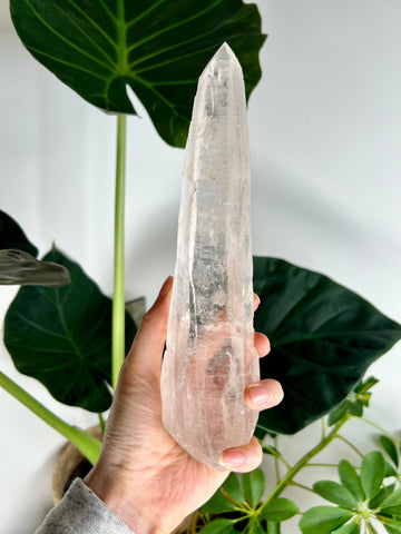 Grade AAA Singing Laser Quartz from Batatal, Diamantina - High Vibration Healing Crystal, SLH13, 567g