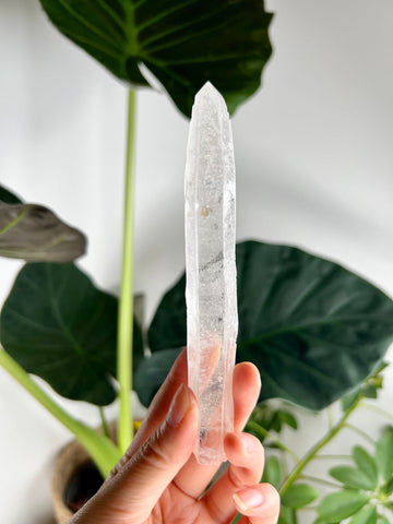 Grade AAA Singing Laser Quartz with “Daisy Mark” from Batatal, Diamantina - High Vibration Healing Crystal, SLH22, 68g