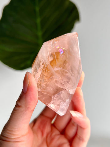 Grade AAA Golden Healer Rose Quartz Freeform with Rainbows - A Celestial Beacon of Love and Healing, GRC59, 111g