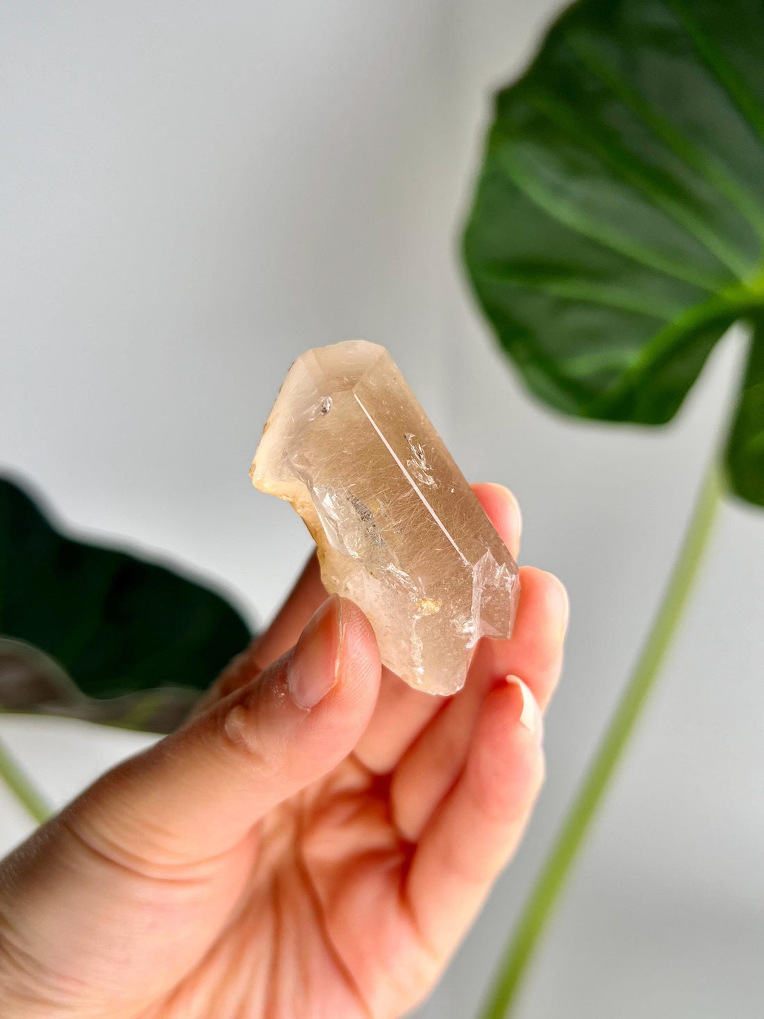 Grade AAA Natural Rutile Golden Amphibole Quartz, Angel Phantom Quartz - from Taquaraçu de Minas, Brazil AFC27, 38g