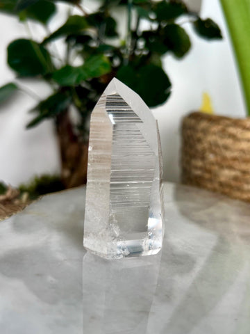 Grade AAA Lemurian Tower with Barcodes - Semi-polished, Top Quality, from Sento Se Bahia LTC58, 71g