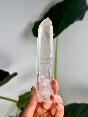Grade AAA Singing Laser Quartz from Batatal, Diamantina - High Vibration Healing Crystal, Self-healed, SLH28, 121g