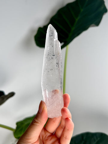Grade AAA Singing Laser Cathedral Quartz with Hematite from Batatal, Diamantina - High Vibration Healing Crystal, SLH33, 88g