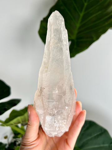 RARE Grade AAA Singing Laser Manifestation Quartz with Rainbow DT Penetration - Natural Specimen from Batatal, Diamantina, SLH42, 470g