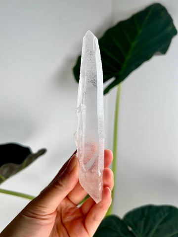 Grade AAA Singing Laser Quartz, Frosted with Rainbow Penetration from Batatal, Diamantina - High Vibration Healing Crystal,SLH34, 85g