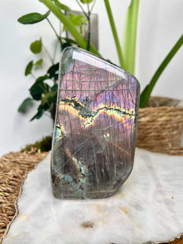 Grade AA+ Purple Labradorite Freeform from Madagascar, The Magician Stone, Powerful Energy Shield, Manifestation Crystal 894g