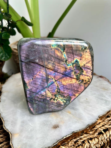 Rare Dual-Colour Grade AAA Purple and Teal Blue Labradorite Freeform from Madagascar, The Magician Stone, 1.003kg