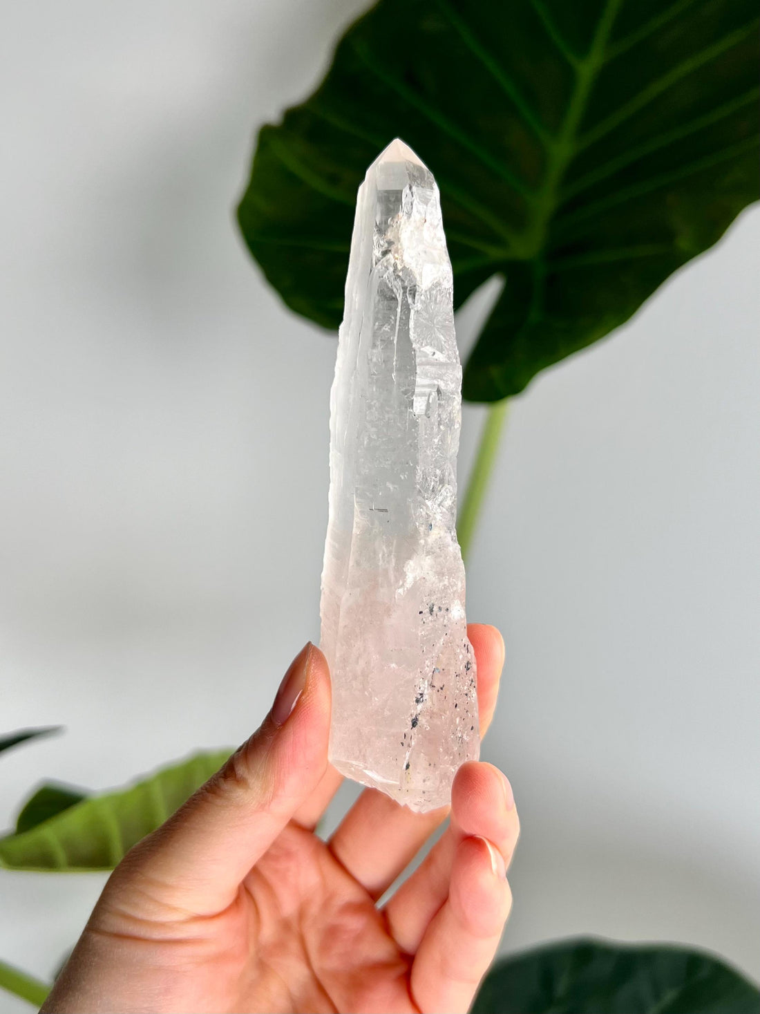 Grade AAA Singing Laser Quartz from Batatal, Diamantina -Self-Healed with Hematite Inclusion, with "Daisy Birthmark" SLH48, 111g