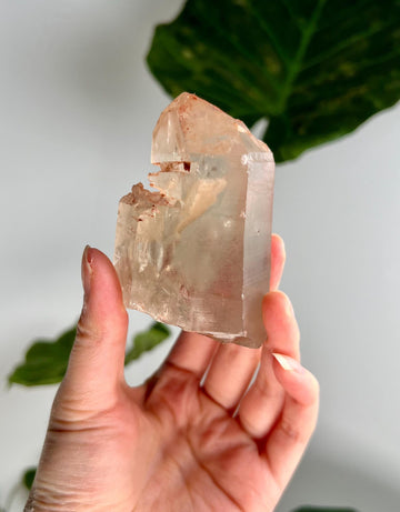 Grade A Golden Healer Shift Lemurian Quartz, Shift Quartz, Golden Healer Lemurian with Rainbow from Serra do Cabral, Brazil, GSL01, 212g