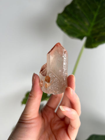 Grade A Golden Healer Shift Lemurian Quartz, Shift Quartz, Golden Healer Lemurian with Rainbow from Serra do Cabral, Brazil, GSL10, 80g