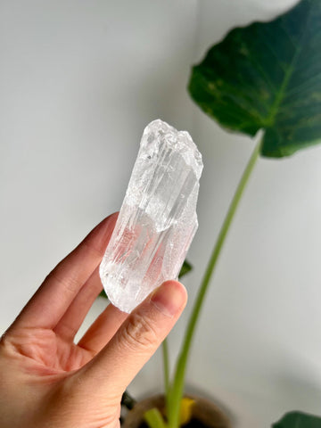 100% Natural Grade A Root Lemurian Quartz - Self-Healed and Etched Crystal from Serra do Cabral, Brazil - LRC30, 168g