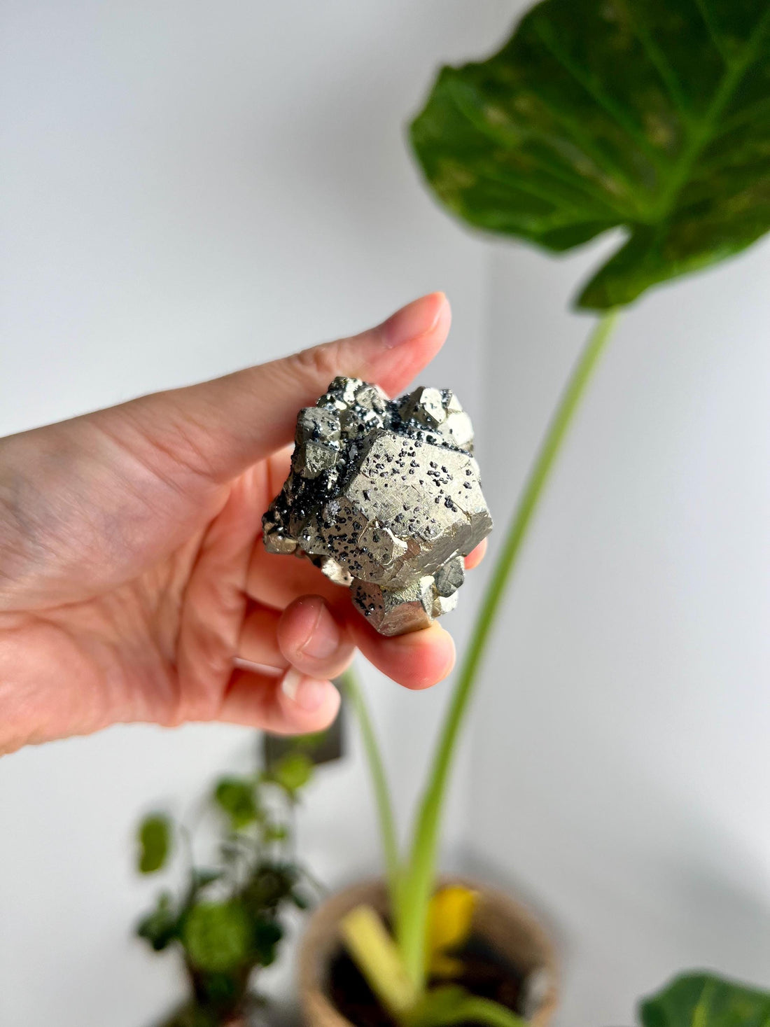 Grade AA Natural Pyrite with Sphalerite from Peru – Protection Stone, Solar Plexus, Wealth Manifestation PRP29, 136g