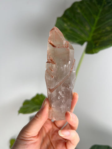 Grade A Golden Healer Shift Lemurian Quartz, Shift Quartz, Golden Healer Lemurian with Rainbow from Serra do Cabral, Brazil, GSL12, 188g