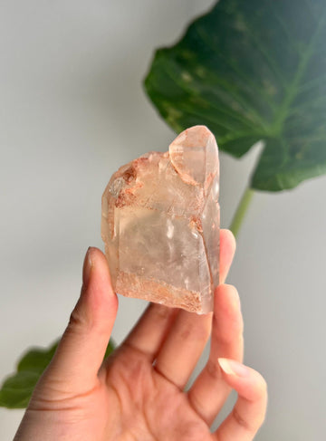 Grade A Unique Golden Healer Lemurian Quartz, Shift Quartz, from Serra do Cabral, Brazil, GSL19, 137g