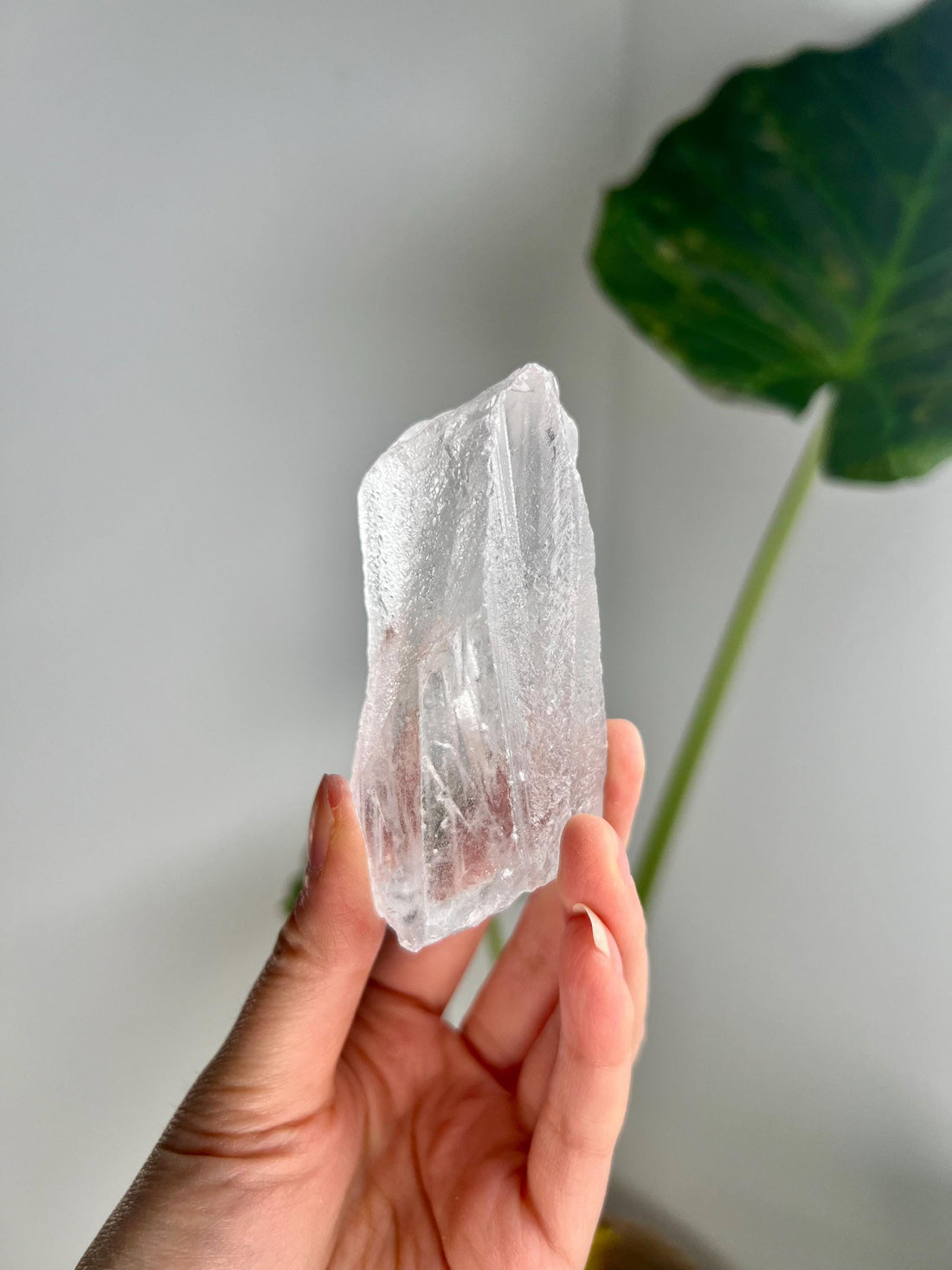 100% Natural Grade A Root Lemurian Quartz - Self-Healed and Etched Crystal from Serra do Cabral, Brazil - LRC30, 168g