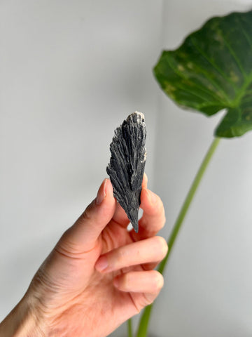 Grade A Natural Black Kyanite Crystal from Araçuaí, Minas Gerais – Hand Selected, BC13, 16g