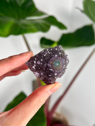 Grade AA Natural Amethyst Flower Stalactite from Uruguay – Unique Formation, High-Energy Healing Crystal - US14, 21g