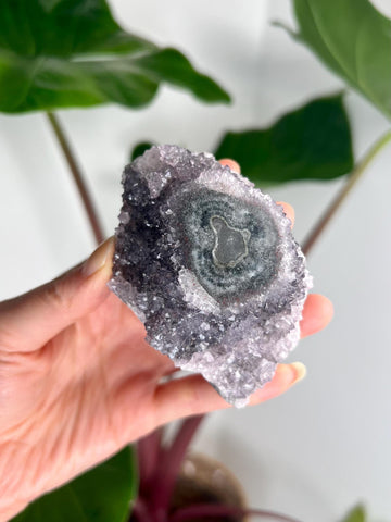 Grade AA Natural Amethyst Flower Stalactite from Uruguay – Unique Formation, High-Energy Healing Crystal - US21, 224g
