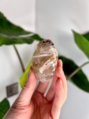 Grade AA Natural Adaptogenic BG3 Citrine Scepter Specimen - with smoky phantom and iron inclusion from Piaui, Brazil ACC27, 78g