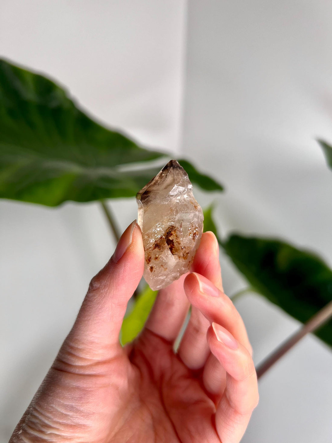 Grade AA Natural Adaptogenic BG3 Citrine Scepter Specimen - with smoky phantom and iron inclusion from Piaui, Brazil ACC35, 29g