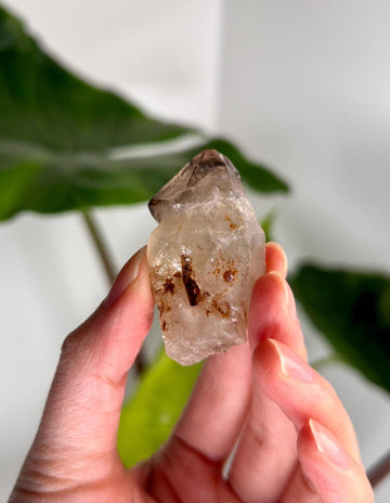 Grade AA Natural Adaptogenic BG3 Citrine Scepter Specimen - with smoky phantom and iron inclusion from Piaui, Brazil ACC35, 29g
