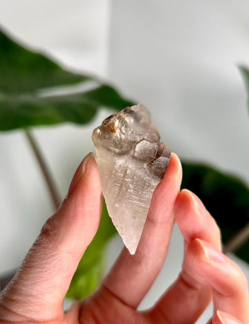 Grade AA Natural Adaptogenic BG3 Citrine Scepter Specimen - with smoky phantom and iron inclusion from Piaui, Brazil ACC44, 21g