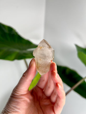 Grade AA Natural Adaptogenic BG3 Citrine Scepter Specimen - with smoky phantom and iron inclusion from Piaui, Brazil ACC45, 34g