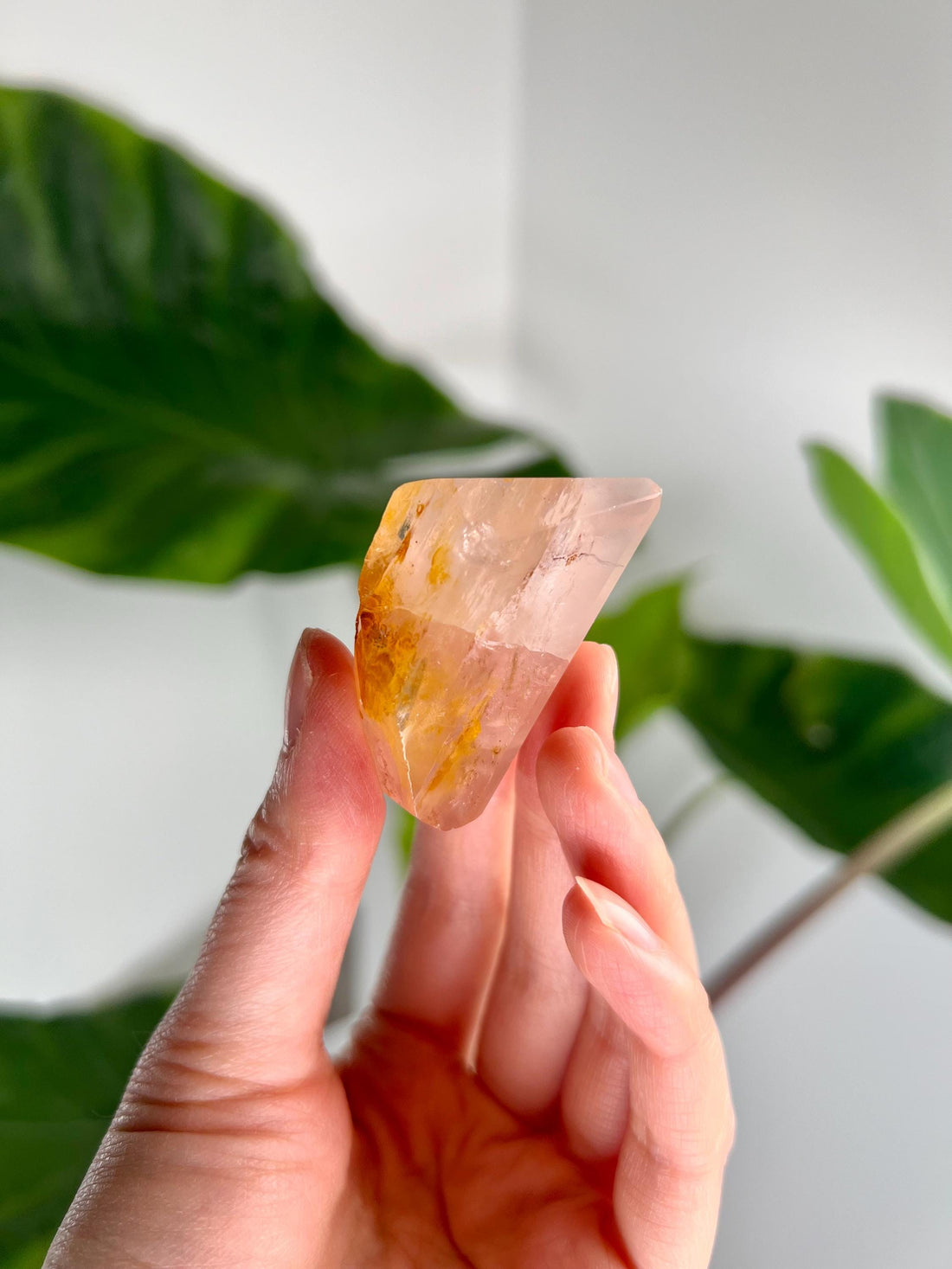 Grade AA Golden Healer Rose Quartz Freeform with Rainbow – Heart Healing, Universal Love, and Emotional Balance, GRC76, 54g