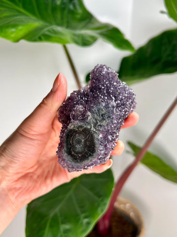 Grade AA Natural Amethyst Flower Stalactite from Uruguay – Unique Formation, High-Energy Healing Crystal - US01, 193g