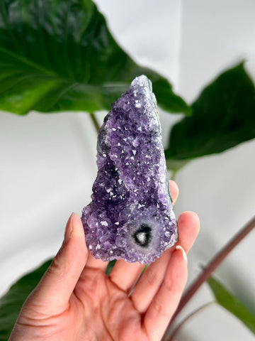 Grade AA Natural Amethyst Flower Stalactite from Uruguay – Unique Formation, High-Energy Healing Crystal - US10, 117g