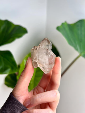 Grade AA 100% Natural Smoky Elestial Quartz - A Portal to Mystical Realms and Vibrant Healing 40g, EQC24